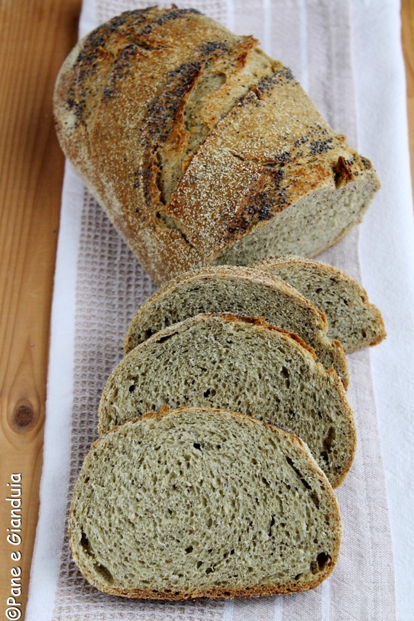 Pane di semola e farina di canapa